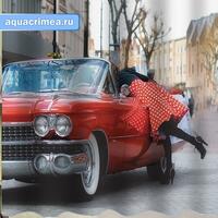 Шторка в ванную комнату, фотопечать "АВТОМОБИЛЬ"